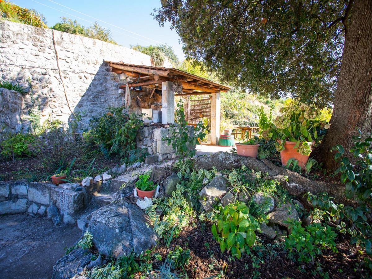Country House Bakicevo Čilipi Cameră foto